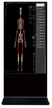 MD002 三维解剖触控教学平台